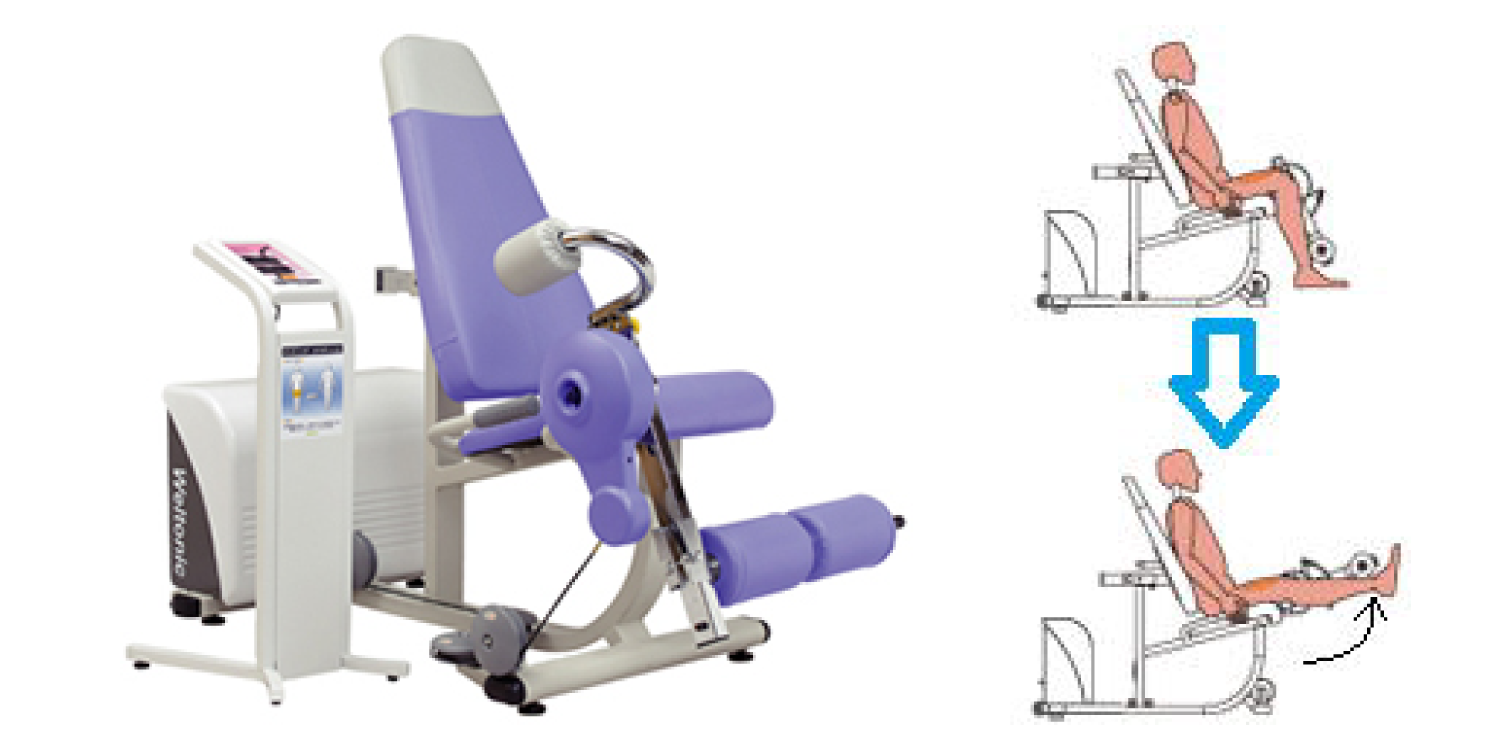 レッグエクステンション